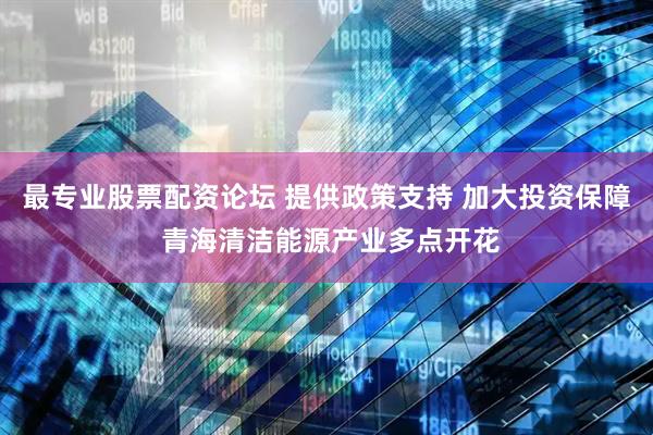 最专业股票配资论坛 提供政策支持 加大投资保障 青海清洁能源产业多点开花