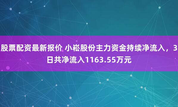 股票配资最新报价 小崧股份主力资金持续净流入，3日共净流入1163.55万元